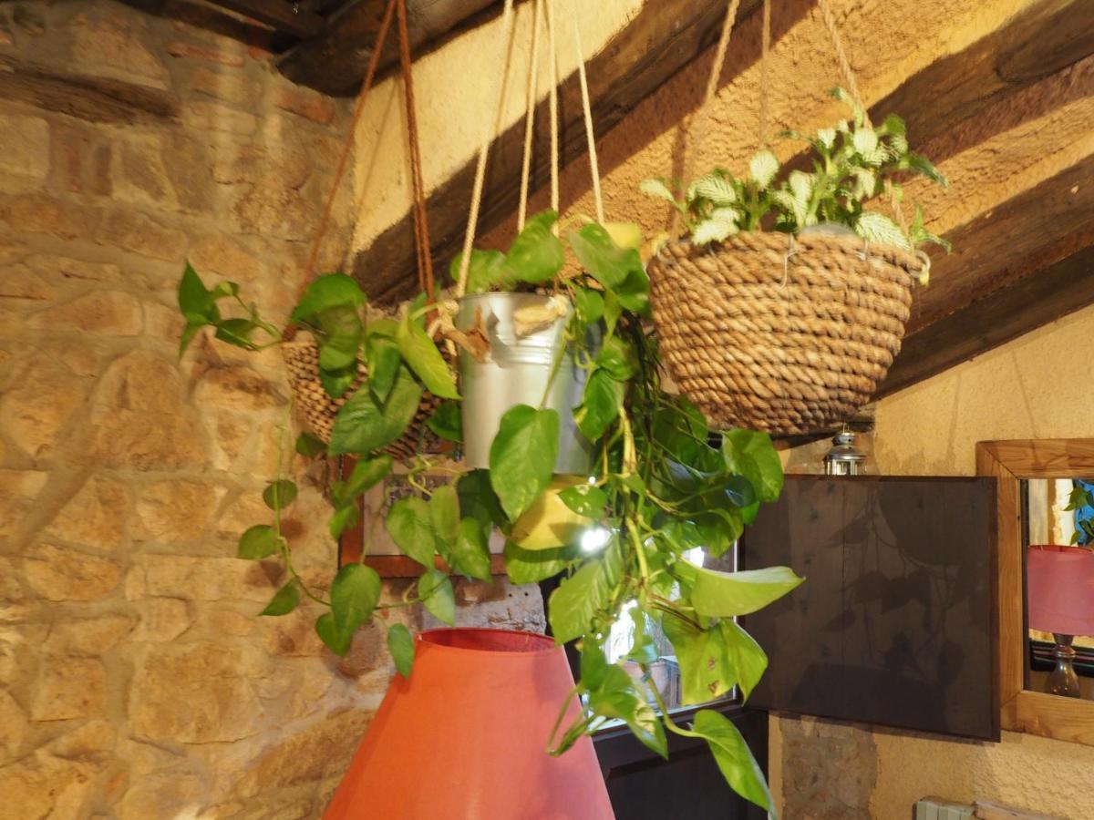 Maison d'hôtes Mas Cal Sastre à Sant Hilari Sacalm Extérieur photo